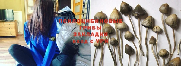 стафф Богородицк