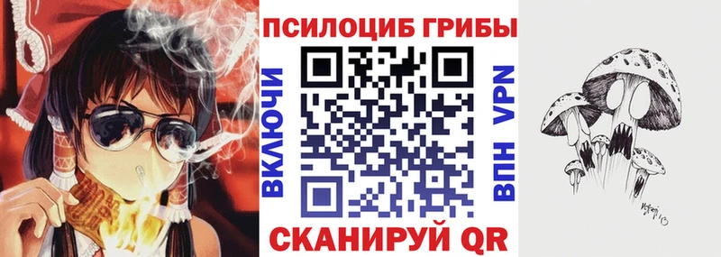 Псилоцибиновые грибы Magic Shrooms  Михайлов 